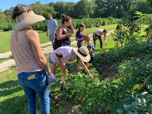 Farm Tour