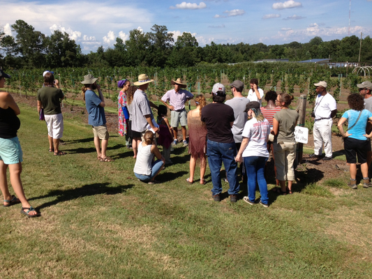 Classes on the Farm